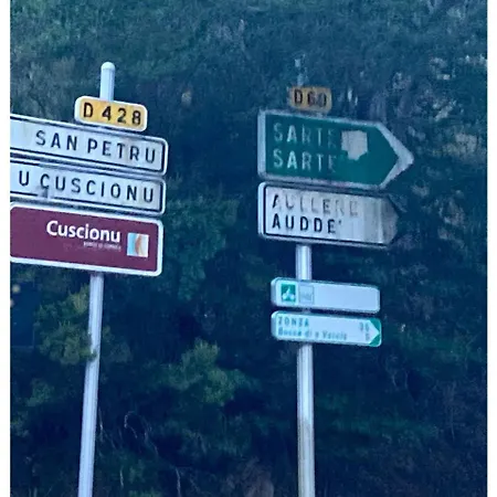 I Gatti Gr20 Et Cuscionu 3*